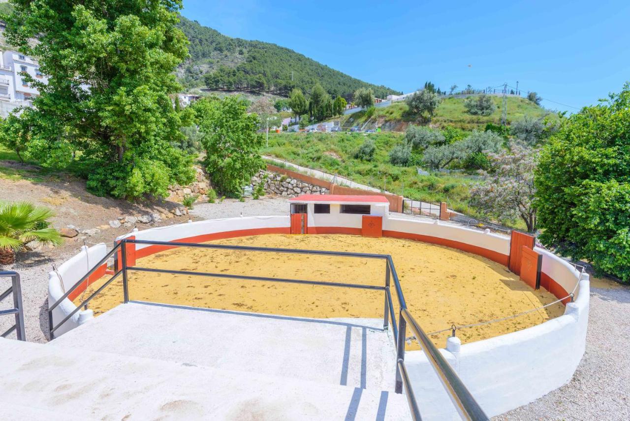 Casa Flores Con Piscina Interior Climatizada Alcaucín Kültér fotó